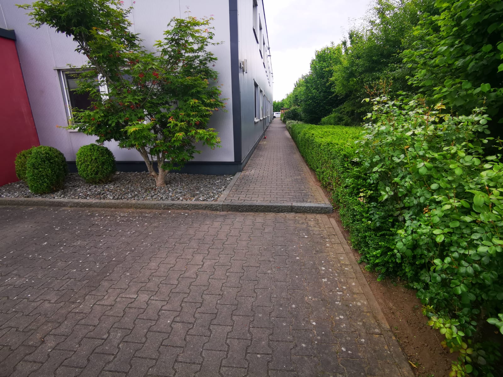Gartenpflege – Referenzfoto 2 von 16
